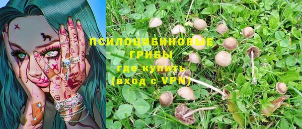 гашиш Осташков