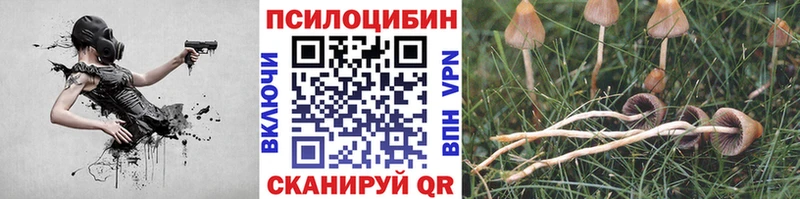 Псилоцибиновые грибы Magic Shrooms  цены   Суздаль 